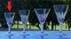 10 anciens verres à vin blanc ou porto gravés en cristal Saint Louis Baccarat