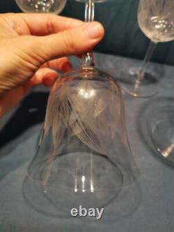 6 Grands Verres Anciens en Cristal Gravé XVIIIe début XIXeme H. 17,5cm