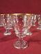 ANCIENNE SUITE 12 PETITS VERRES CRISTAL A LIQUEUR DECOR OR ETOILES CAVE XIX ème