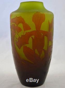 Ancien Vase En Pate De Verre Degage A L'acide Signe D'argental Orchidée