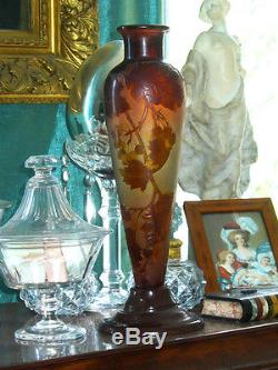Ancien vase en pate de verre dégagé à l'acide Signé Gallé Art Nouveau XIXe 1900