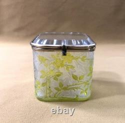 Ancienne boite / coffret BACCARAT cristal VERT modèle EGLANTIER gravé à l'acide