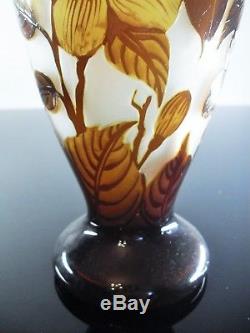 Art Nouveau /ancienne Vase Pte De Verre Dégagé L'acide Signé Era Daum Galle