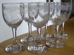 BACCARAT 6 ANCIENS VERRES A LIQUEUR CRISTAL MODELE LOUIS XV ht 8 cm