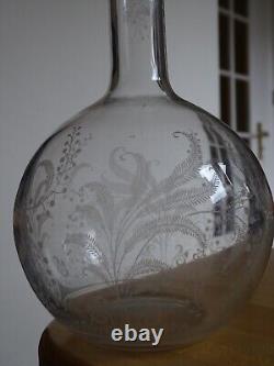 BACCARAT ANCIENNE CARAFE A VIN CRISTAL GRAVURE ART NOUVEAU MOD FOUGERES 84 cls