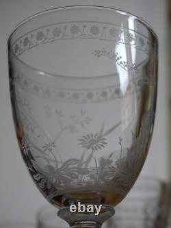 BACCARAT RARE 6 ANCIENS VERRES A VIN CRISTAL GRAVURE PAQUERETTES ht 12,2 cm 1890