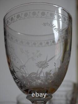 BACCARAT RARE 6 ANCIENS VERRES A VIN CRISTAL GRAVURE PAQUERETTES ht 12,2 cm 1890