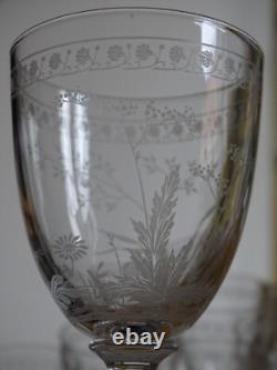BACCARAT RARE 6 ANCIENS VERRES A VIN CRISTAL GRAVURE PAQUERETTES ht 12,2 cm 1890