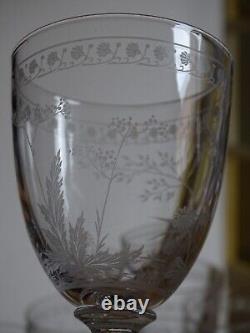 BACCARAT RARE 6 ANCIENS VERRES A VIN CRISTAL GRAVURE PAQUERETTES ht 12,2 cm 1890