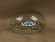 BEAU SULFURE PRESSE PAPIER ANCIEN CLICHY ou BACCARAT FIN XIXe DEBUT XXe