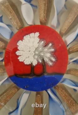 Clichy Sulfure ancien décor arbre (de la liberté) D. 9 cm XIXème siècle