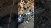 Completely Intact Antique Glass Bottle From 1800s Shortsfeed Shorts Shortsvideos