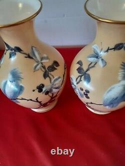 Paire de vase en opaline décor perroquets peint main ancien