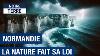 Risque De Submersion Marine En Normandie Des Enjeux Forts Documentaire Environnement Hd Amp