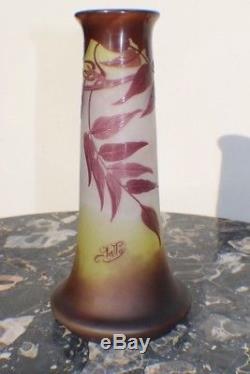 Vase ancien Emile Gallé pate de verre décor de Glycines